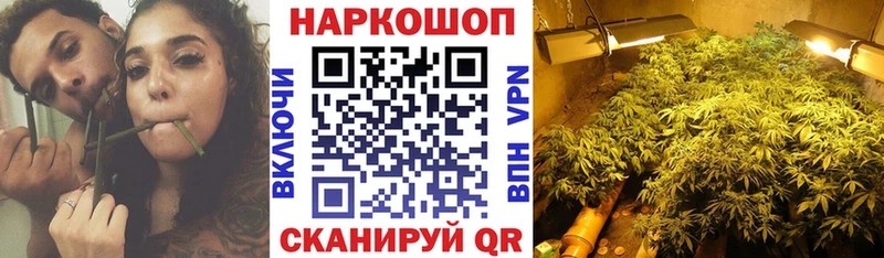 Где можно купить наркотики Завитинск Галлюциногенные грибы Каннабис Меф мяу мяу ГАШ Alpha PVP