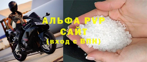 гашик Алексин