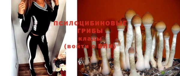 гашик Алексин