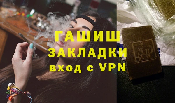 гашик Алексин
