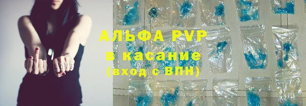 гашик Алексин