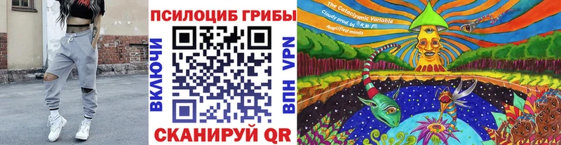 Псилоцибиновые грибы GOLDEN TEACHER  OMG маркетплейс  Завитинск 